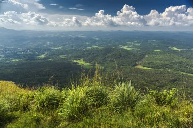 Mudhumalai orman üstünden iğne rock görünümü bağlantısı, Nilgiris, Tamilnadu, Hindistan