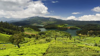 Emerald Lake and village, Nilgiris (Ooty), Tamilnadu, India clipart