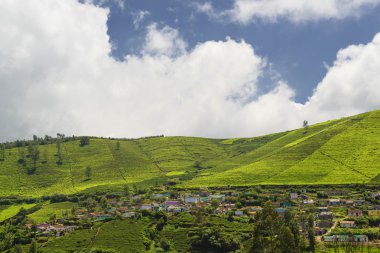 Agricultural land in Nilgiris near Ooty, Tamilnadu, India clipart