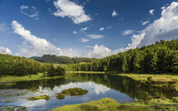 Pykara nehir Ooty, Tamilnadu, Hindistan başladığı Pykara düşüyor