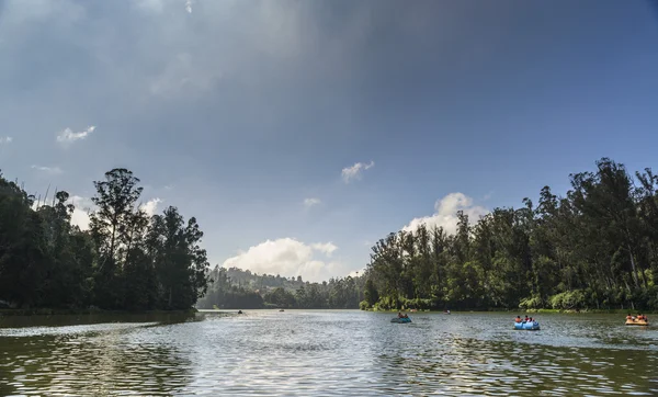 Ooty gölde Nilgiris, Tamilnadu, Hindistan