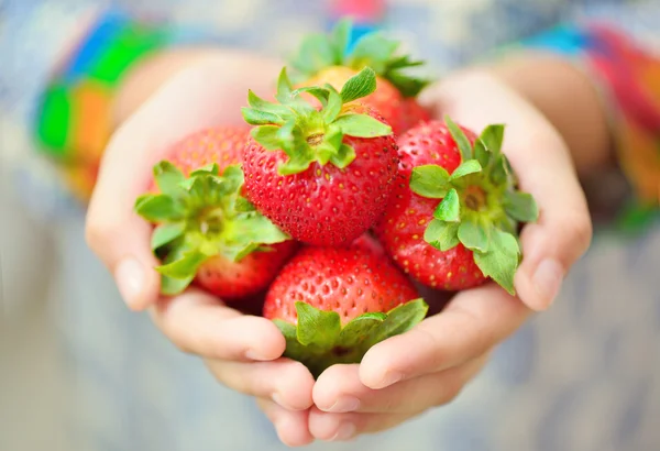 Girl holding strawberries in her hands