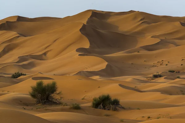 Desierto en Dubai — Foto de Stock