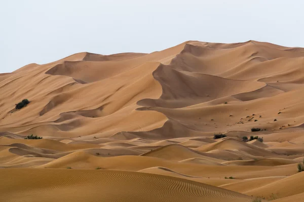 Desierto en Dubai — Foto de Stock