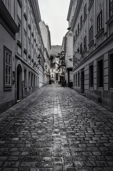 Rua velha em Viena — Fotografia de Stock