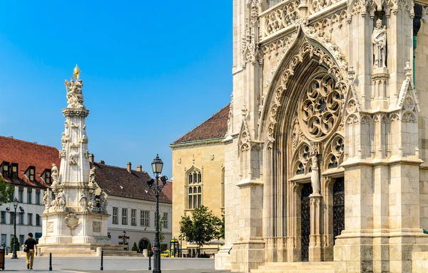 Puerta Matthias Iglesia — Foto de Stock