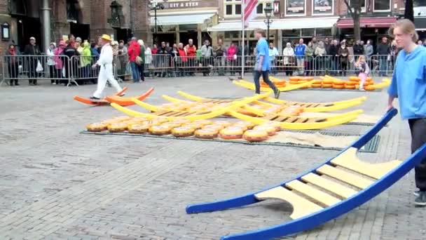 Pasar keju di Alkmaar — Stok Video