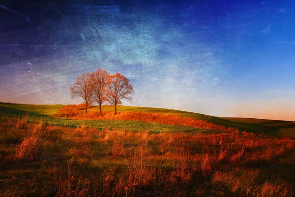 Autumn field in retro style — Stock Photo, Image