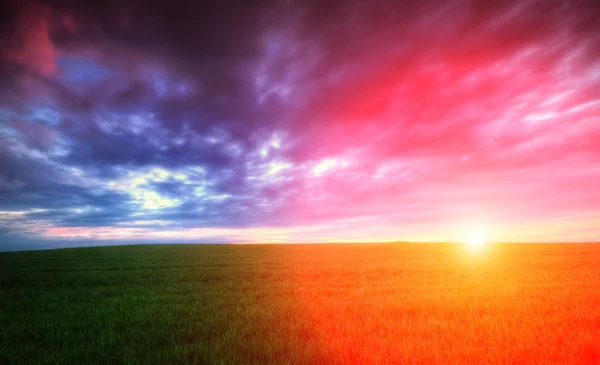 Sunset on green field with clouds — Stock Photo, Image