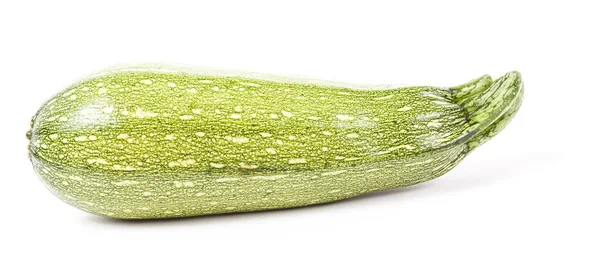 One Young Fresh Raw Zucchini Squash Family Green Color White — Stock Photo, Image