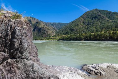 Katun nehrinin kıyısında turkuaz kil ve kumlu bir plaj içeren su, dağların arka planında kayalık yeşil orman ve beyaz bulutlarla kaplı mavi gökyüzü..