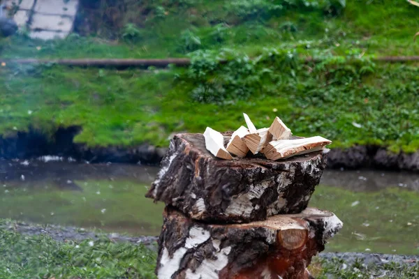 Banyoda Şöminede Ateş Yakmak Için Huş Ağacından Bir Odun Yığını — Stok fotoğraf