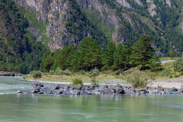 Riva Del Fiume Katun Con Acqua Contenente Argilla Turchese Una — Foto Stock