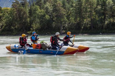 Altai, Rusya - 08.16.2020: Bir dağ nehrinde hızla kürek çeken mavi şişme bir teknede ekipman, can yelekleri ve sarı miğferler içinde rafting yapan insanlardan oluşan bir ekip. 