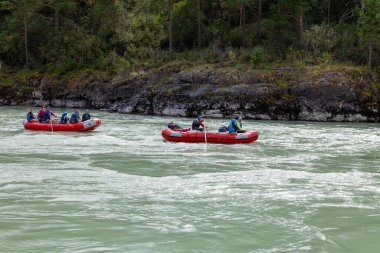 Novosibirsk, Rusya - 08.14.2020: Turuncu can yeleği giymiş bir grup insan, dağ nehri boyunca uzanan mavi ve sarı renkli lastik botlarla orman arka planına karşı rafting yapıyorlar