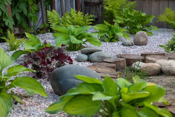 Jardín Rocoso Con Piedras Grandes Pequeñas Través Del Cual Crecen —  Fotos de Stock