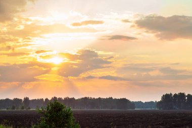 Altın saat turuncu gökyüzü bulutlu ve sarı güneş arka planda parlıyor. Gün doğumu veya batımı sahnesi.