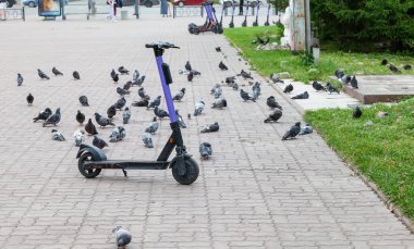 Otoparkta elektrikli scooter. Bisiklet kiralama sistemi, sokakta scooter, Novosibirsk, Rusya 'da elektrikli scooter. Etrafta bir sürü güvercin var..