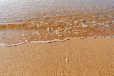 Temiz plajda ve sarı kumsalda güzel, berrak okyanus dalgaları