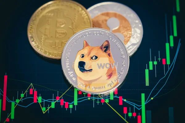 Tabletlerdeki Dogecoin kripto gümüş sembolü ve borsa şemaları. Teknoloji kripto para bloklama zinciri kullan. Sermaye Kazancı, Temel.