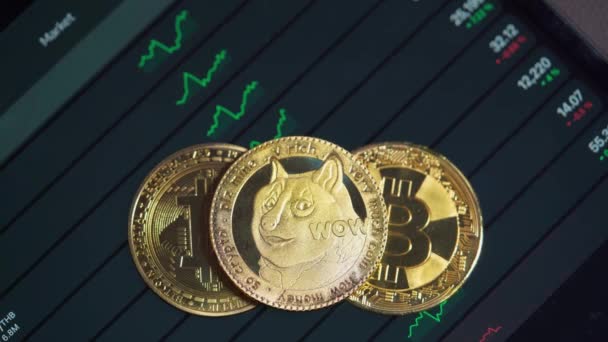 Focus seleziona e sfoca Dogecoin doge Golden Bitcoin Cash bch e bitcoin btc cryptocurrency symbol e stock chart price su tablet. Utilizzare la tecnologia blockchain criptovaluta. con Guadagno di Capitale. — Video Stock