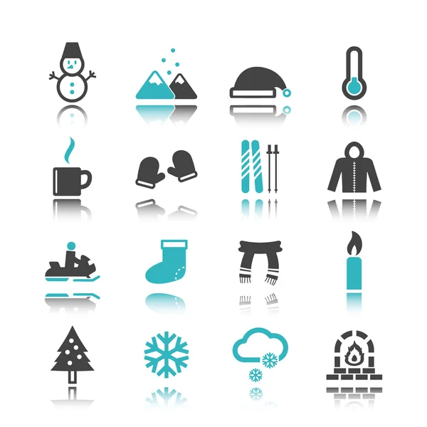 Winter icons with reflection — Stock Vector