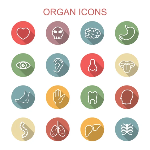 Organ long shadow icons — Stock Vector