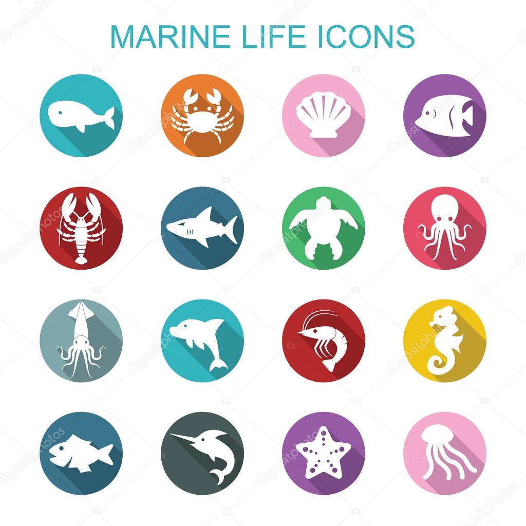 Marine life long shadow icons, flat vector symbols