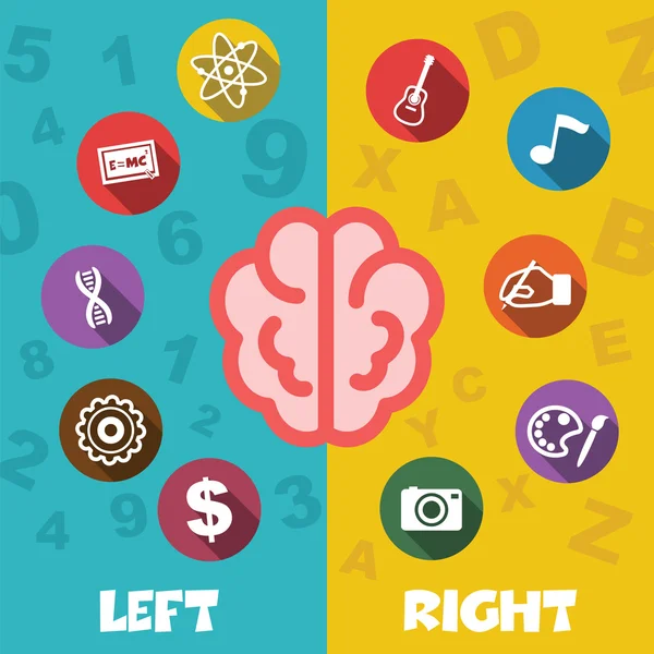 Sol ve Sağ beyin