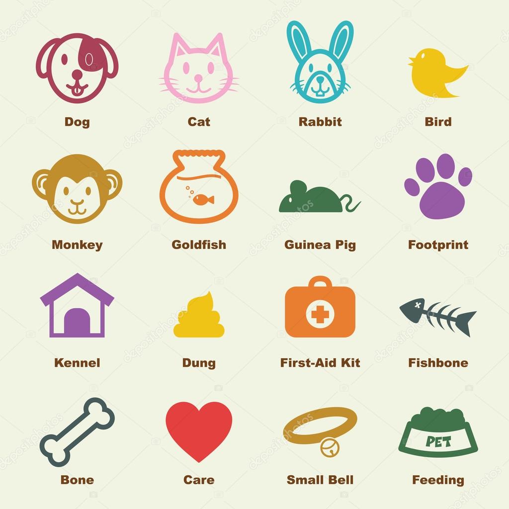 Pet elements, vector infographic icons