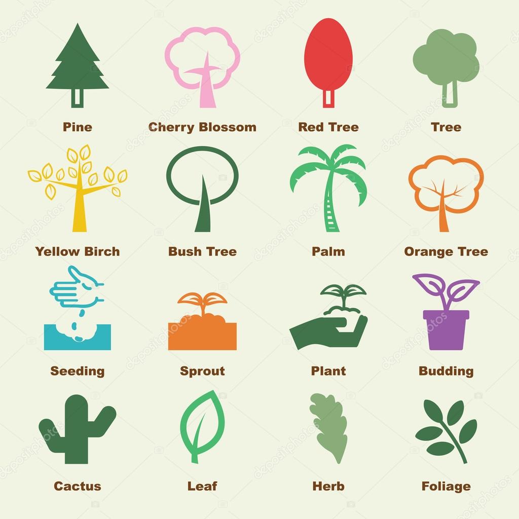 Tree elements, vector infographic icons