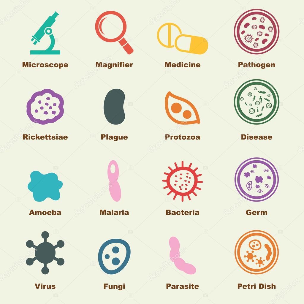 Pathogen elements, vector infographic icons