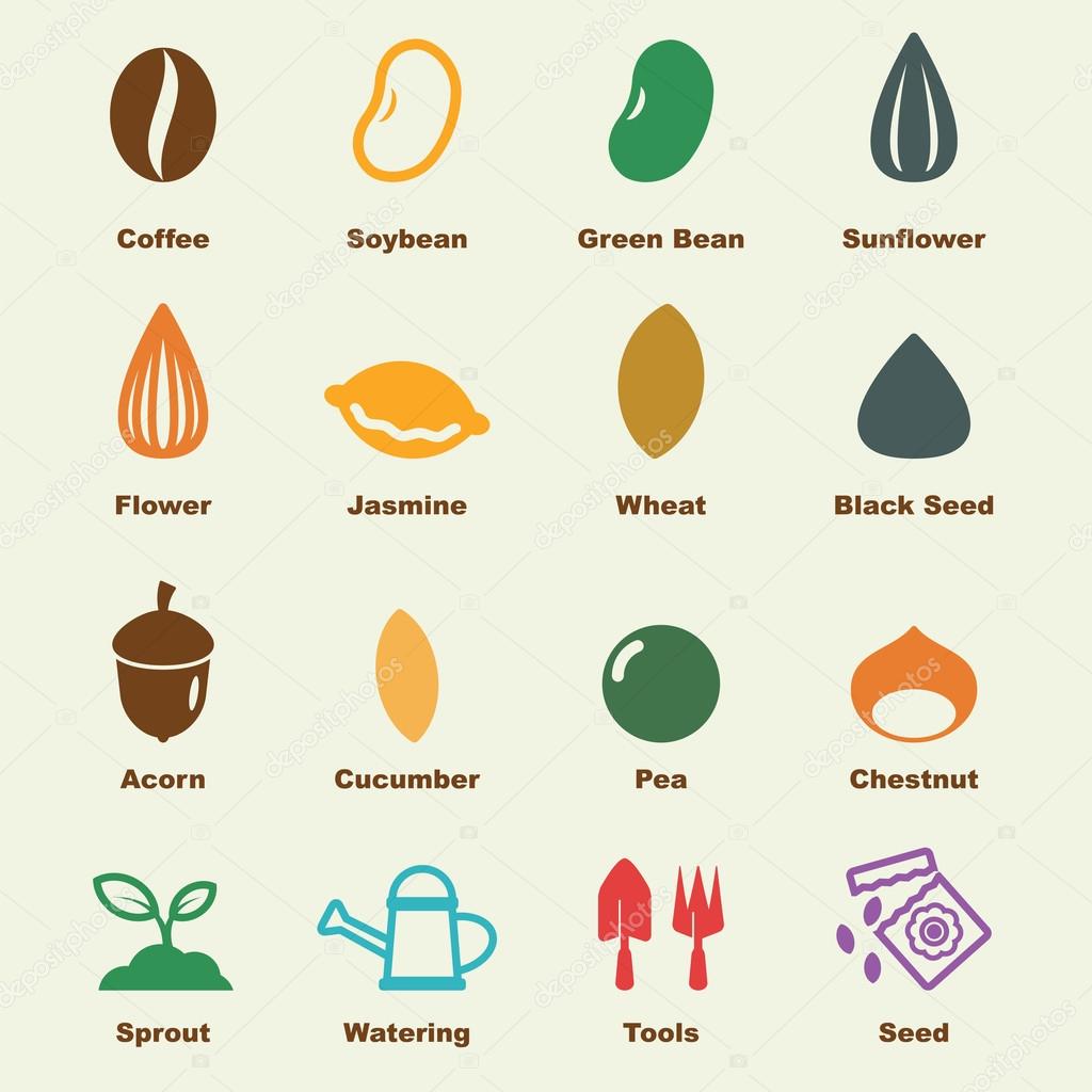 Seed elements, vector infographic icons