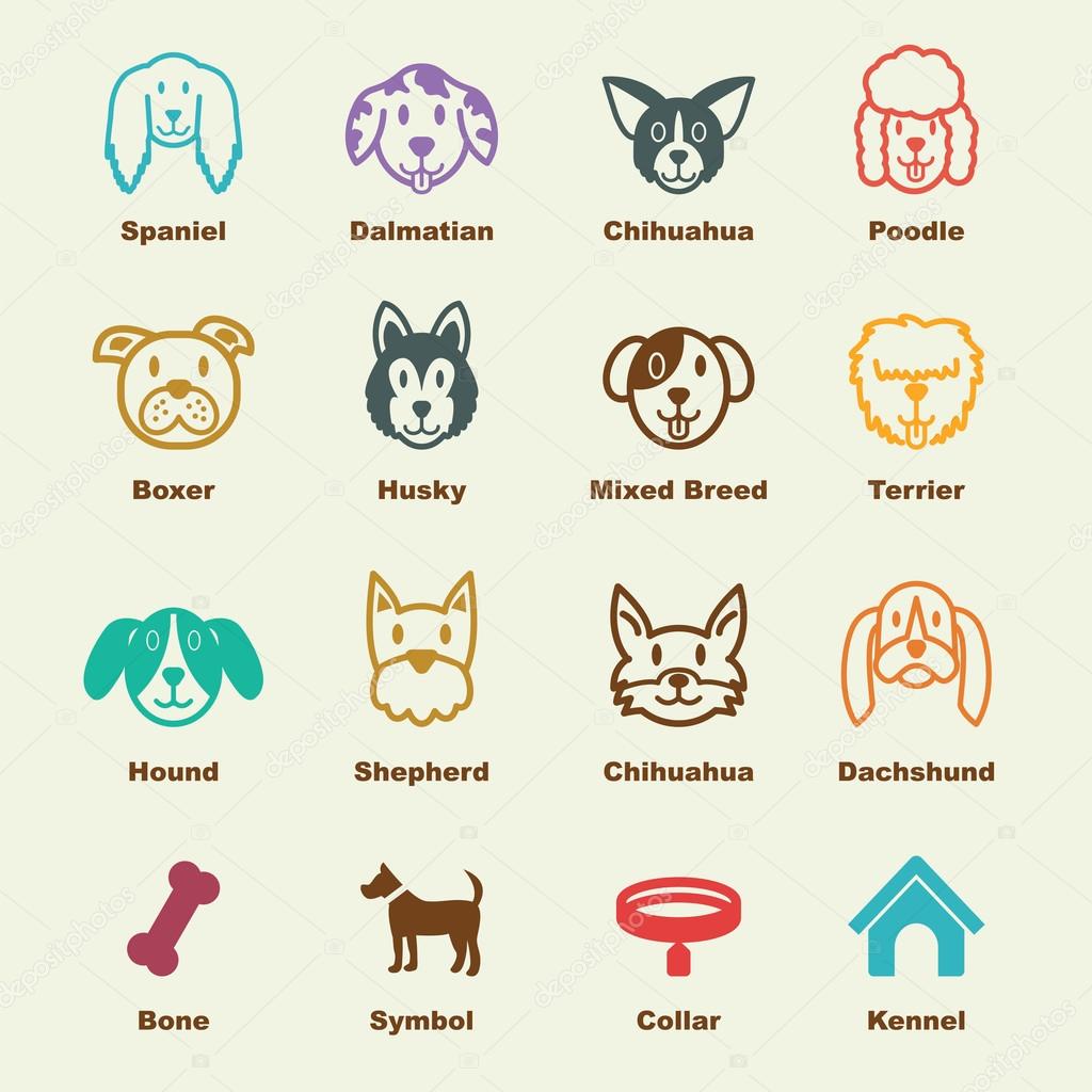 Dog elements, vector infographic icons