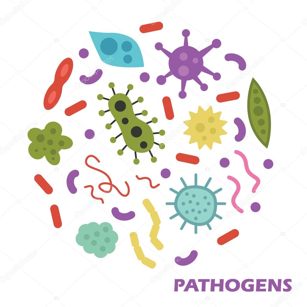 Pathogens flat design, vector elements