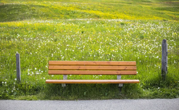 Chaise en bois dans le parc national — Photo