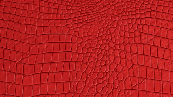 Rotes Leder Breitbild-Textur und Hintergrund — Stockfoto
