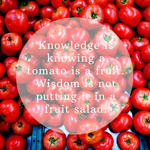 टोमॅटो हे एक फळ आहे हे ज्ञान जाणत आहे. शहाणपण ठेवत नाही — स्टॉक फोटो, इमेज
