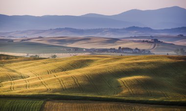 kırsal, san quirico d erken sabah orcia, Toskana, İtalya