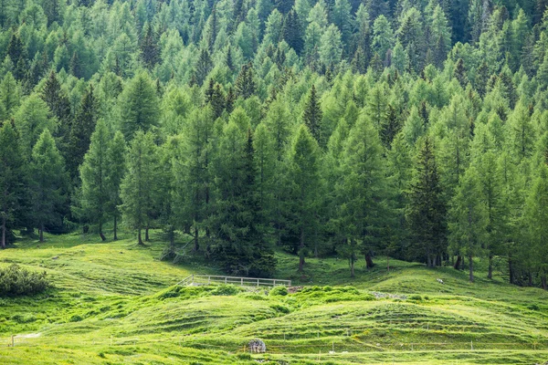 Amazing view on Cristallo Mountains with alpine village on sunny — Stock Photo, Image