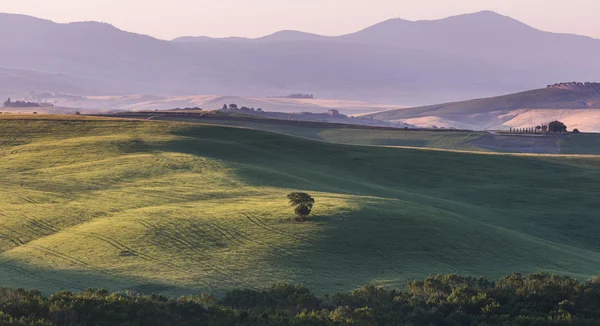 Tuscany, Italy - Landscape — Stock Photo, Image