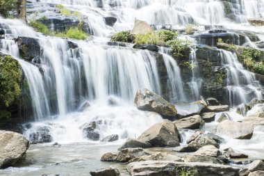 Mae Ya şelale Chiang Mai, Tayland.