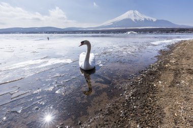 Mt. Fuji Gölü Yamanaka çekim kış sezonu. Yamanashi, Japan