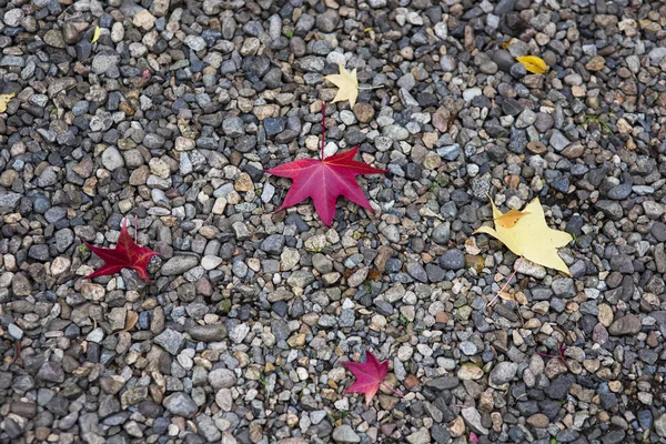 Esdoornblad herfst seizoen op stenen structuur verdieping — Stockfoto