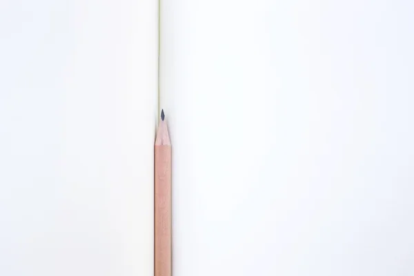 Wood pencil on blank paper — Stock fotografie