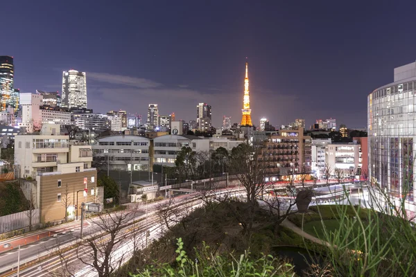 Tokyo, Japan - 19 februari 2015 - de stad van Tokyo, Tokyo tower in de Kanto regio en de prefectuur Tokyo, is de eerste grootste metropool in Japan. Centrum Tokyo is zeer modern met vele wolkenkrabbers. — Stockfoto