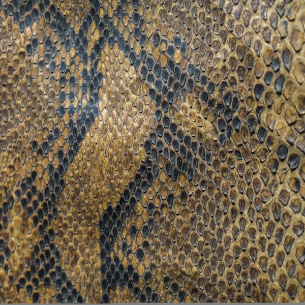 Текстура и фон кожи змеи — стоковое фото