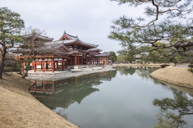 Byodo-in Budist tapınağı, UNESCO Dünya Miras Listesi. Anka kuşu 