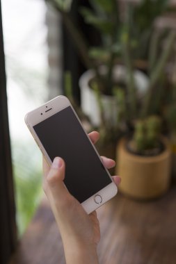 Woman hand holding smartphone against on smooth in coffee shop c