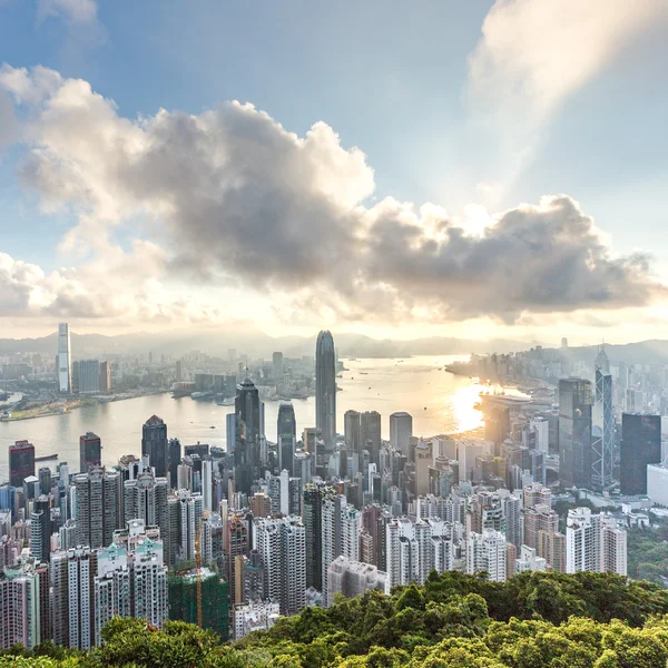 HONG KONG - 03 DE AGOSTO DE 2015: El pico del horizonte urbano de Hong Kong — Foto de Stock